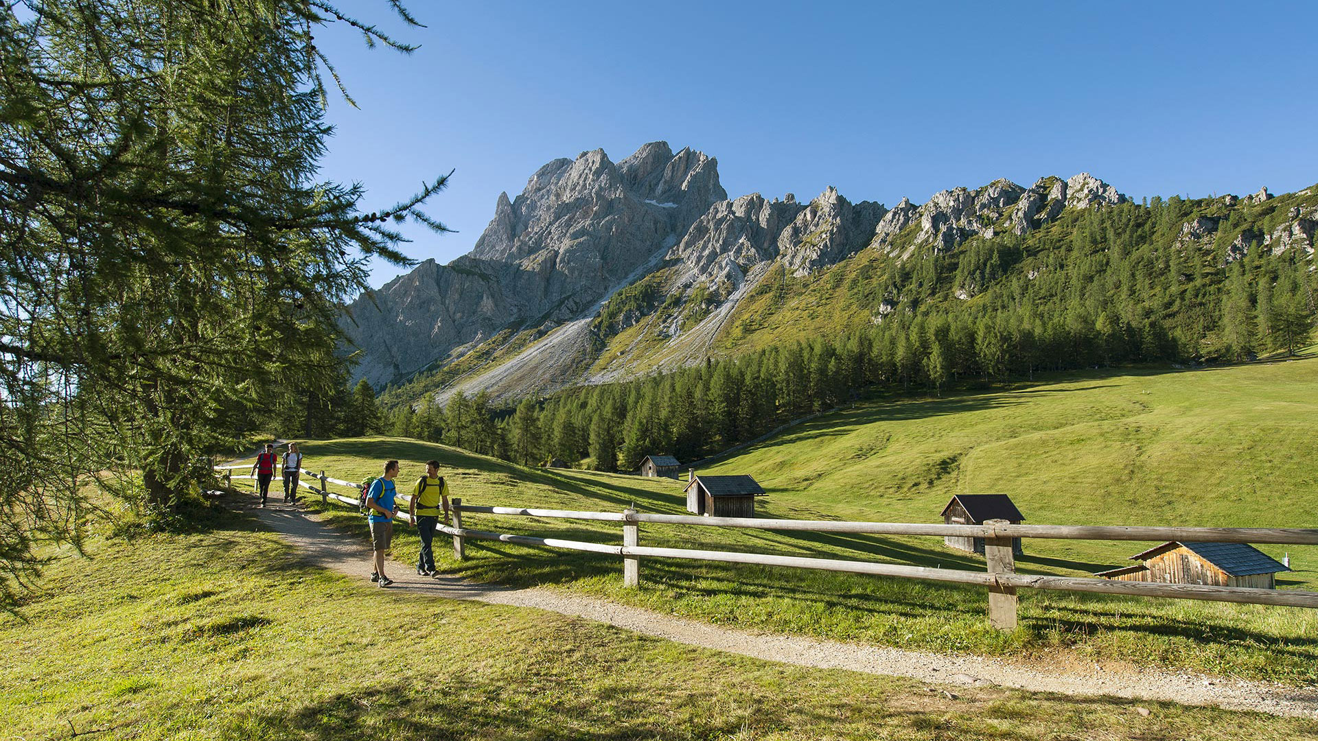 Wanderer auf einem Weg im Pustertal mit Blick auf die Dolomiten und Almhütten – ideal für Ihren Sommerurlaub am Kronplatz.
