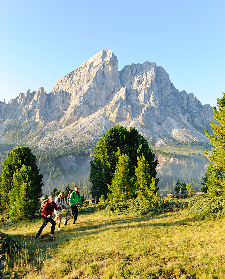 Drei Wanderer mit Stöcken genießen den Sommerurlaub am Kronplatz vor der beeindruckenden Bergkulisse Südtirols.
