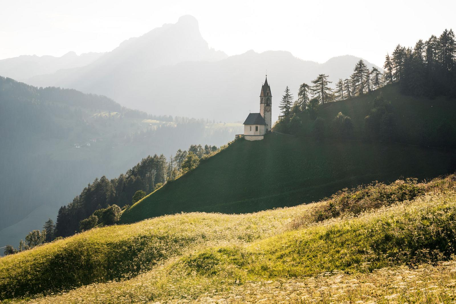 idm07262almo